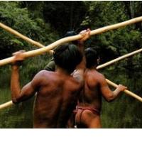 Orinoco - Indijanci amazonskega deevnega gozda