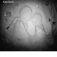 KATE BUSH: 50 Words for Snow (Fish People/ distribucija Menart, 2011) (ponovitev 12. 12. 2011 ob 00.30)