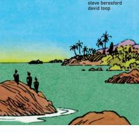 GENERAL STRIKE: Danger In Paradise (Staubgold, 2012)