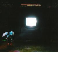 EMERALDS: Does It Look I'm Here (Editions Mego, 2010) (ponovitev 13. 9. 2011 ob 00.30)