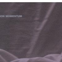 ELEH: Location Momentum (Touch, 2010)