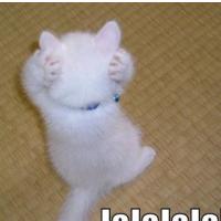 Petkov jutranji OktoberFestest