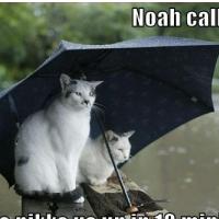 PETEK IS THE NEW SOBOTA!