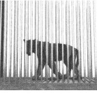 SENSI SMILE - Eyes Wide