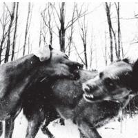 SENSI SMILE - Another Day, Another Dollar