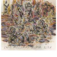 CASS MCCOMBS: Humor Risk (Domino, 2011) (ponovitev 5. 12. 2011 ob 00.30)