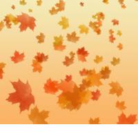 Uvod v pisano jesensko filmsko-animate�no bero: Fanima.Tu, Istanbul Ekspress, Ekranova mala �ola pogleda in �e marsikaj...