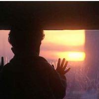 Temnozvezdni kri�kra�: od poletnih festivalov do Solarnega kina