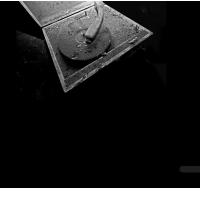 Naj tuja Tolpa Bumov 2011!!!