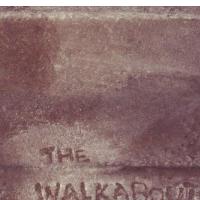 THE WALKABOUTS:Travels In The Dustland (Glitterhouse, 2011)  (ponovitev 14. 1. 2012 ob 00.30)
