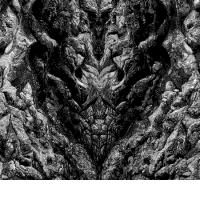 NECRO DEATHMORT: Music Of Bleak Origin (Distraction Records, 2011)  (ponovitev 24. 11. 2011 ob 00.30) 