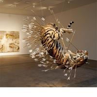 SORRY TIGR. IT WASN'T US. BIL JE TORKOV JUTRANJI PROGRAM