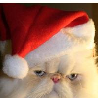 Zadnji petkov jutranji program v letu 08.