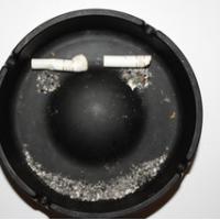 �etrtek se za marebitne napake hkrati posipa s pepelom in smeje v faco