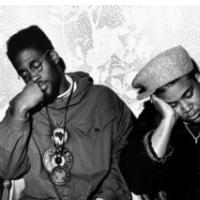 Glasbene novice; od 6.2. do 10. 2. 2012!!!