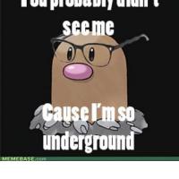 Petkova Po(pol)Danka