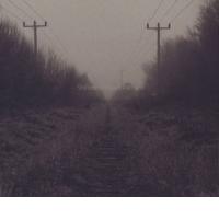 Razpihajmo techno hajp okoli Shifted