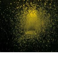 THE ANTLERS: Burst Apart (Frenchkiss, 2011) (ponovitev 3. 8. 2011 ob 00.30)