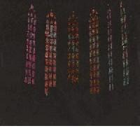 KAYO DOT: Stained Glass (Hydra Head, 2011) (ponovitev 27. 8. 2011 ob 00.30)