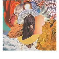 ALIAS: Fever Dream (Anticon, 2011) (ponovitev 23. 9. 2011 ob 00.30)