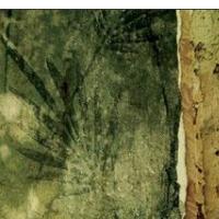 BAL�ALORSKY DRA�LER 3O: Wu - Wei (ZAR�, 2011)  (ponovitev 14. 11. 2011 ob 00.30)