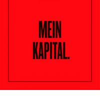 DAMIR AVDI�: Mein Kapital. (samozalo�ba, 2012) (ponovitev 30. 1. 2012 ob 00.30)