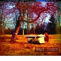 SPOCK STUDIOS: A Degree Below Your Means (ZAR, 2012) (ponovitev 14. 4. 2012 ob 00:30)