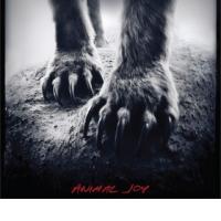 SHEARWATER: Animal Joy (Sub Pop, 2012) (ponovitev 17. 4. 2012 ob 00:30)