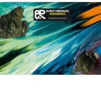  BURNT FRIEDMAN: Bokoboko (Nonplace/Matrix Music, 2012)