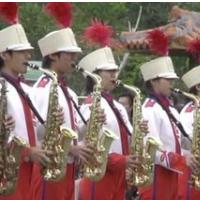 �e en vpogled v minulo leto