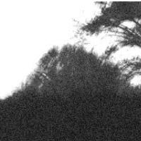 Sprehod po dark ambientu