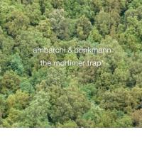 Oren Ambarchi in Thomas Brinkmann sre�ata Mortona Feldmana