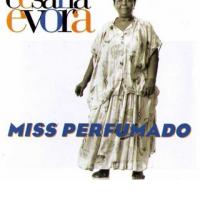 Godba ideala TC Lejle bin Nur, 18. 12. 2011