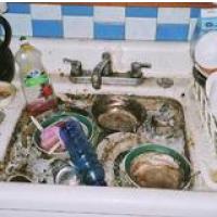 �OLTA KRONIKA: Novice za danes