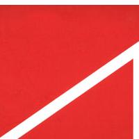 PAJZA R: VERYUSED ARTISTS (17.6.2004)