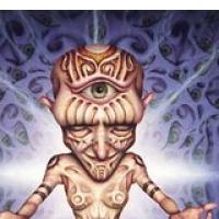 Torkovi razsvetljenci in drugi lotusi