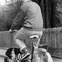 PONEDELJKOV PROGRAM PETEGA JUTRANJEGA KOLESA