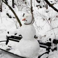 NEKEGA NADVSE RAZPOLO�ENEGA TORKA...