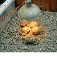 PreDUBUDDite se v torek!