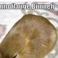 �ETRTKOVI TAJNI AGENTI SO MED VA�IM ZAJTRKOM!