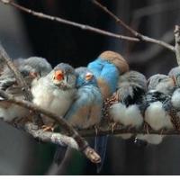 DoZdajEdiniSpomladanskiTretjiPonedeljekMeseca