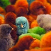 Bo toti TretjiMese�eviPonedeljek odfr�al s tal?