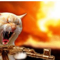 Ma�k se je najdu. Nej ga kdo vzame nazaj, pravi Maja