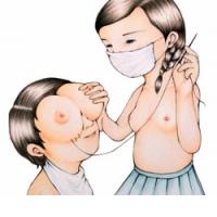 TORKOV �IVALNI KOTI�EK IN DRUGI AMI�I