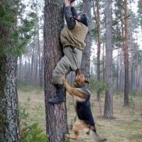 SREDINO ZA�OPATENJE