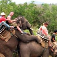 SREDINO JAVNO OB�EVANJE