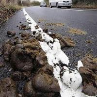 STROGO ZA�RTANA SREDA