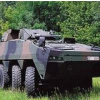 Patria Internazionale