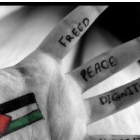 KROFF PALESTINSKIH �RTEV