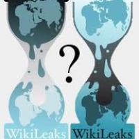 PORO�ILO O OKROGLI MIZI IN�TITUTA JO�ETA PU�NIKA O AFERI WIKILEAKS